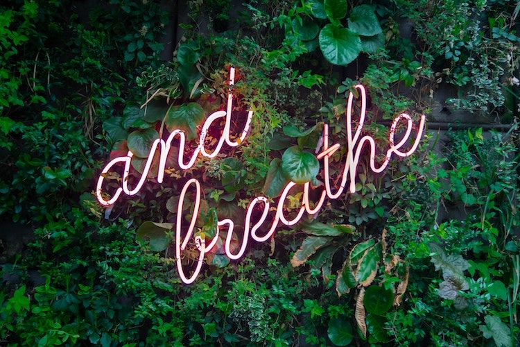 breath text on green leaves